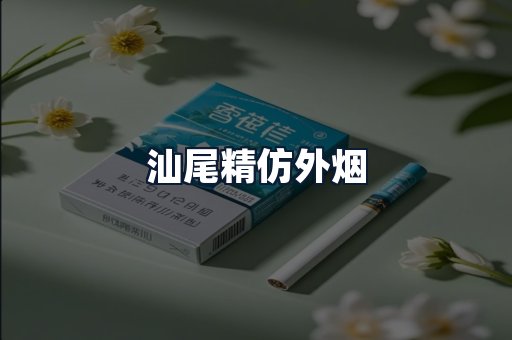 汕尾精仿外烟